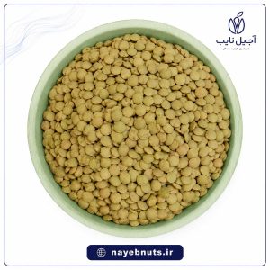 عدس روسی درجه یک