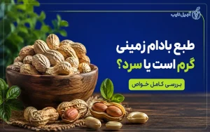 فروشگاه اینترنتی اجیل نایب