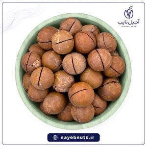 ماکادمیا